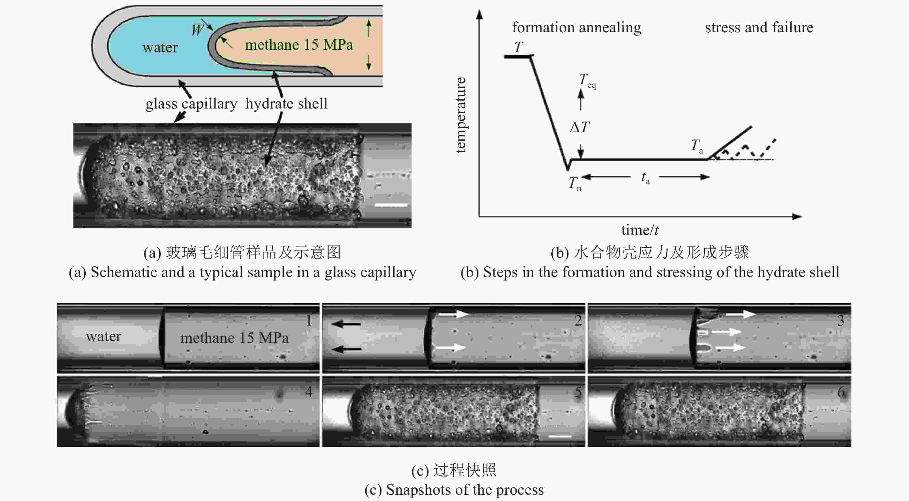 Advances In Micromechanical Properties Of Hydrate Bearing Soils